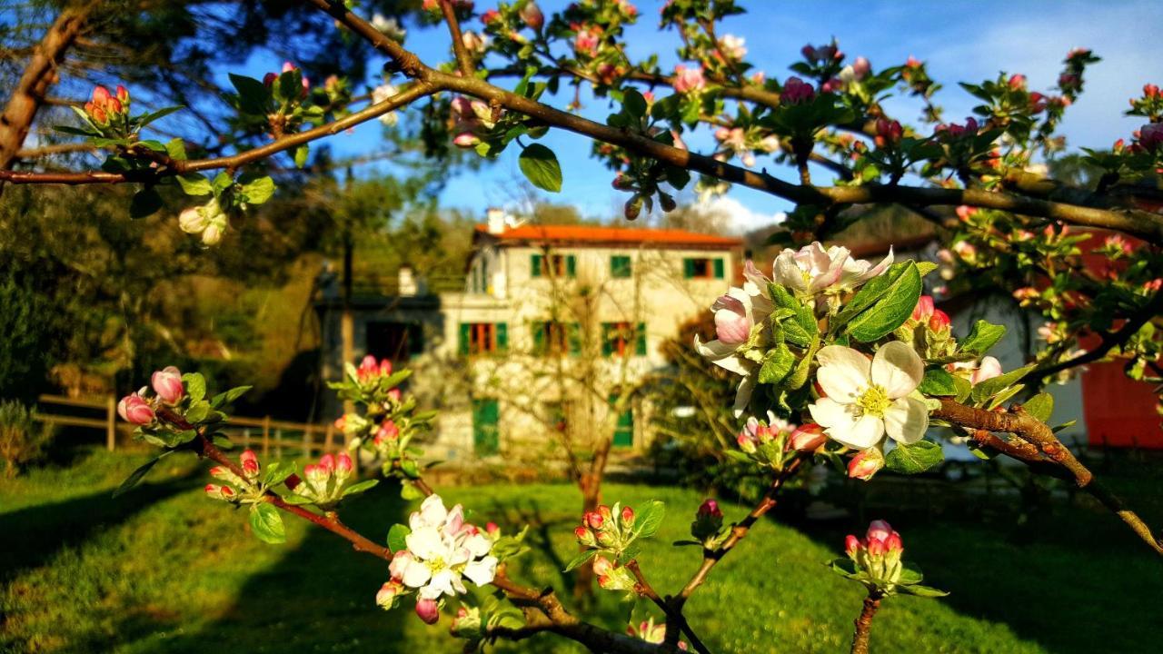 B&B Tre Ponti Castiglione Chiavarese Екстер'єр фото